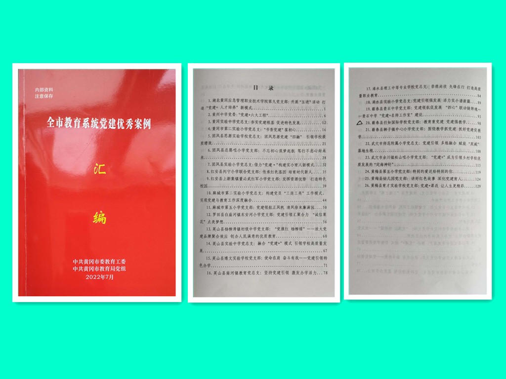 全市教育系统党建优秀案例.jpg